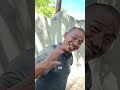 papa ara pegang kerbau hewan kurban om botak