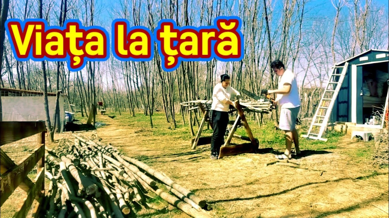 Curățenie de primăvară la căsuța de la țară. Amintirile din curte mă răscolesc. Rațe, găini..(2022)