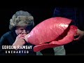 🫁 Gordon Ramsay Blows Up Seal Lungs 😲 | Gordon Ramsay: Uncharted
