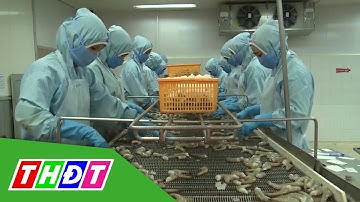 Xuất khẩu thủy sản có khả năng sẽ cán mốc 11 tỷ USD | THDT