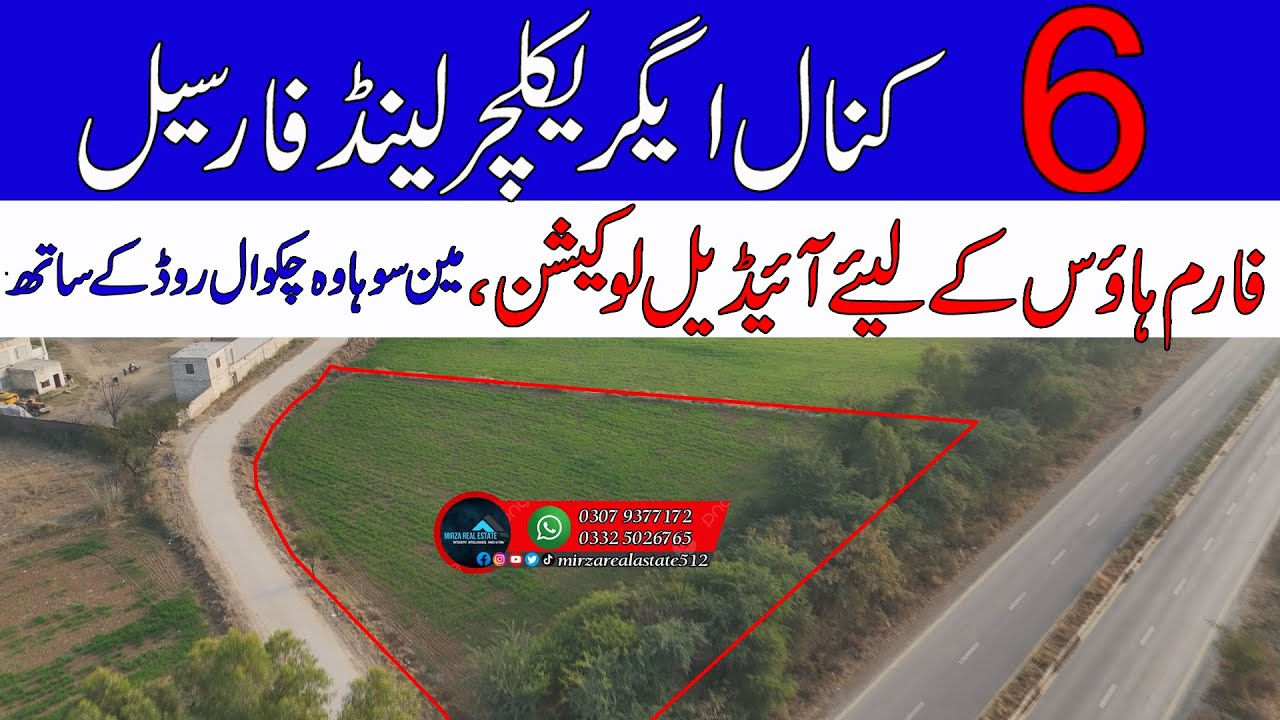 6 Kanal agriculture land for sale | Zari Raqba | District Chakwal | Mirza Real Estate