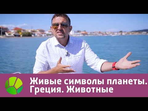 Живые символы планеты. Греция. Животные | Живая Планета