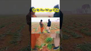 #ytshorts #shorts #shortsfeed #viral #viralshorts | Mr. Ali Iftikhar