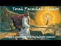 #13 - Torah Parashah Shemot