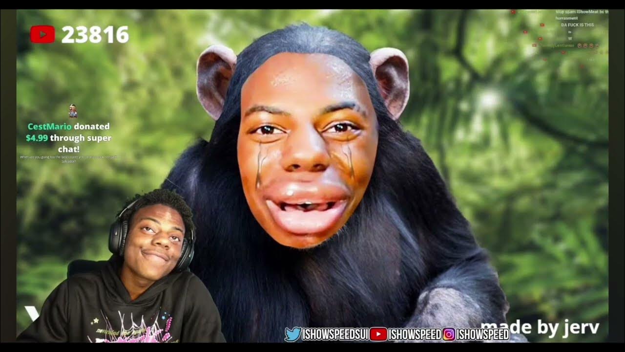 обезьяна с цифрами. Chinese zodiac monkey. обезьянка с цифрой 3. обезьяна число. обезьяна вектор.