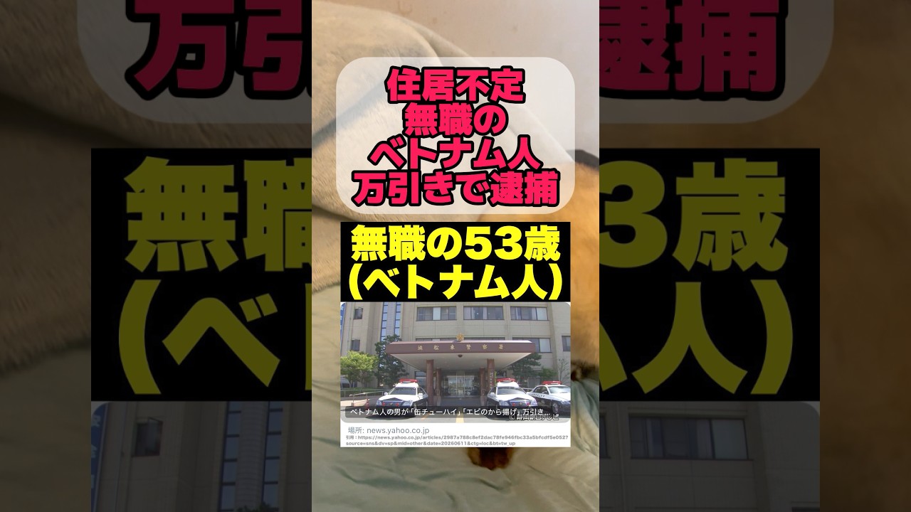 【普通に怖い】住居不定の無職のベトナム国籍の男が万引きで逮捕されました　#移民　#外国人