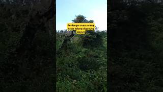 Suara Serem Misterius Digunung Slamet gunungslamet pendakigunung