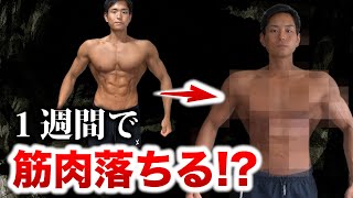 1週間筋トレをしないと筋肉は落ちる？実際に休んでみた結果