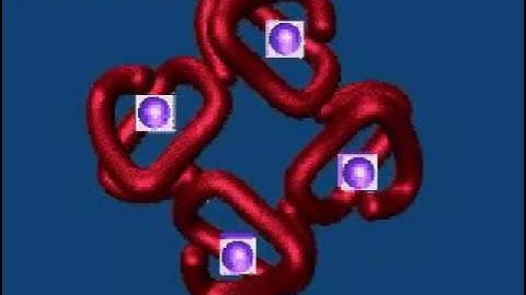 Hemoglobin Structure [Animation]