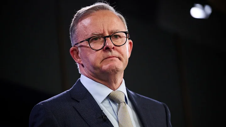 Albanese will be 'erring on the side of caution' in negotiations with China on trade bans