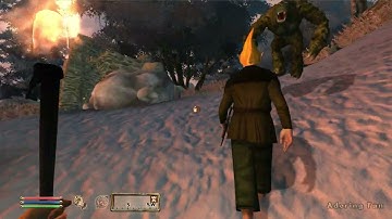 Day 403 - Killing Adoring Fan Every Day Until Elder Scrolls Skyblivion is Released