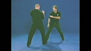 Best JKD Instruction Ever.P2