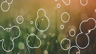 Hindi Love Shayari Video with love theme played by violin screenshot 5