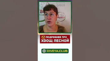 Хвощ лесной. Особенности и применение в медицине