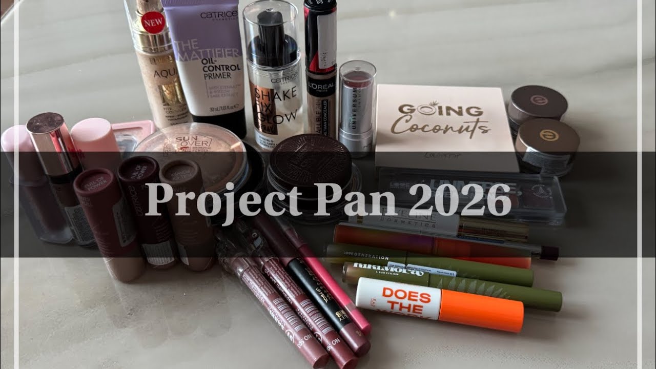 Начало проекта Project Pan 2026🙈