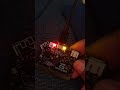 Sounds of Nature using Microbit - UnicMinds