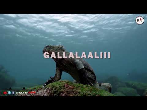 XIINXALI Nashiidaa Afaan Oromoo FULL HD ABDULJAWAD IBRAHIM FIXRAA TUBE 2021 