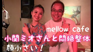 小関ミオさんのライブを見てきました 奈良のmellow cafeにて