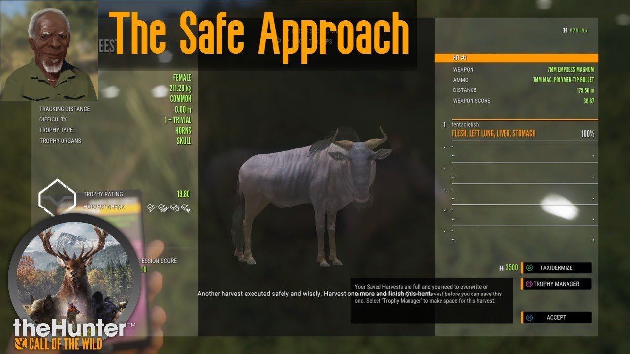 The Safe Approach theHunter Call of the Wild