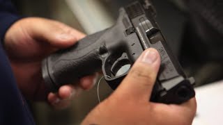 Calls for 'red flag' gun laws grow louder