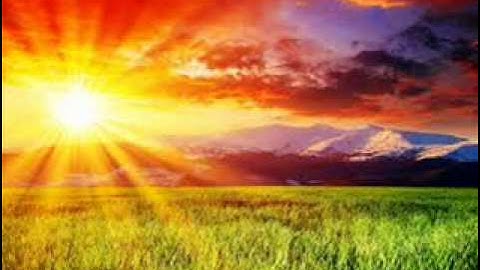 تجويد - محمد صديق المنشاوي -  سورة المائدة