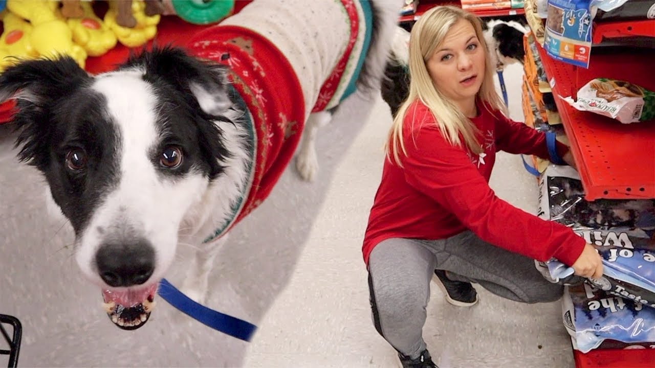 Buying My Dog Everything He Touches! *Christmas Presents*