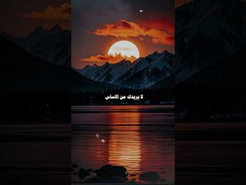 لا تعاتب أحدا في حياتك 