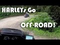 Up Over the Mountain THE HARD WAY (Harley Mountain Adventure Part 3)