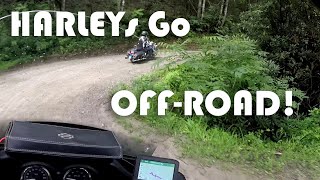 Up Over the Mountain THE HARD WAY (Harley Mountain Adventure Part 3)