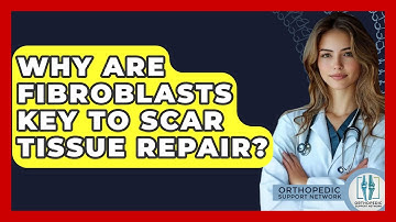 Why Are Fibroblasts Key To Scar Tissue Repair? - Orthopedic Support Network