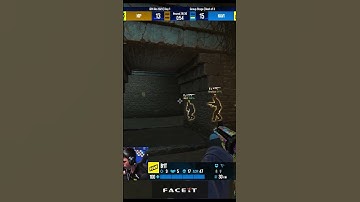 NAVI b1t Makes It Look Easy