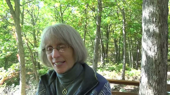 Susan Kelsey, a Licensed Connecticut Forester, Spe...