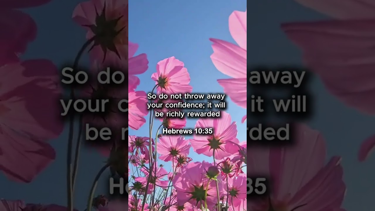 Obejrzyj Don’t Lose Your Confidence | Daystar Reflections | Verse of the Day w YouTube Obejrzyj Don’t Lose Your Confidence | Daystar Reflections | Verse of the Day w YouTube