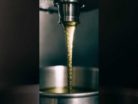 Video L'olio nuovo si mangia subito: quando è pronto e come conservarlo
