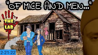 The Best Laid Plans Of Mice And Men