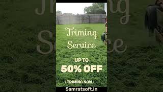 Lawn Grass Trimming Process www.samratsoft.in @SamratsoftLawn #lawngrass