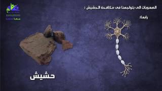 علاج ادمان الحشيش ومعلومات خطيرة عنه - darelshefaa.com