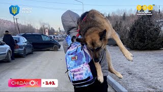 Несли собаку на плечах к польской границе, чтобы спасти животное от войны!