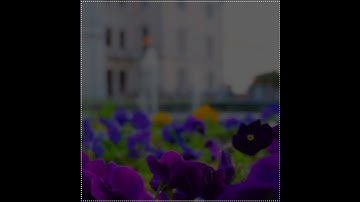 سعد الغامدي|حالات واتس اب دينية سورة النور 🥺🦋