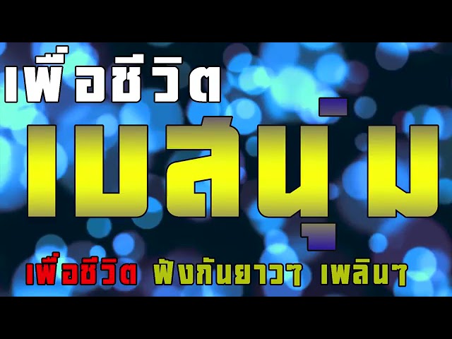 รวมเพลงเพื่อชีวิตฟังกันยาวๆ เพลินๆ คัดแล้วคัดอีก class=