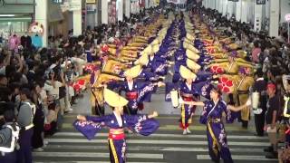 十人十彩　２０１４　帯屋町　第６１回よさこい祭り全国大会