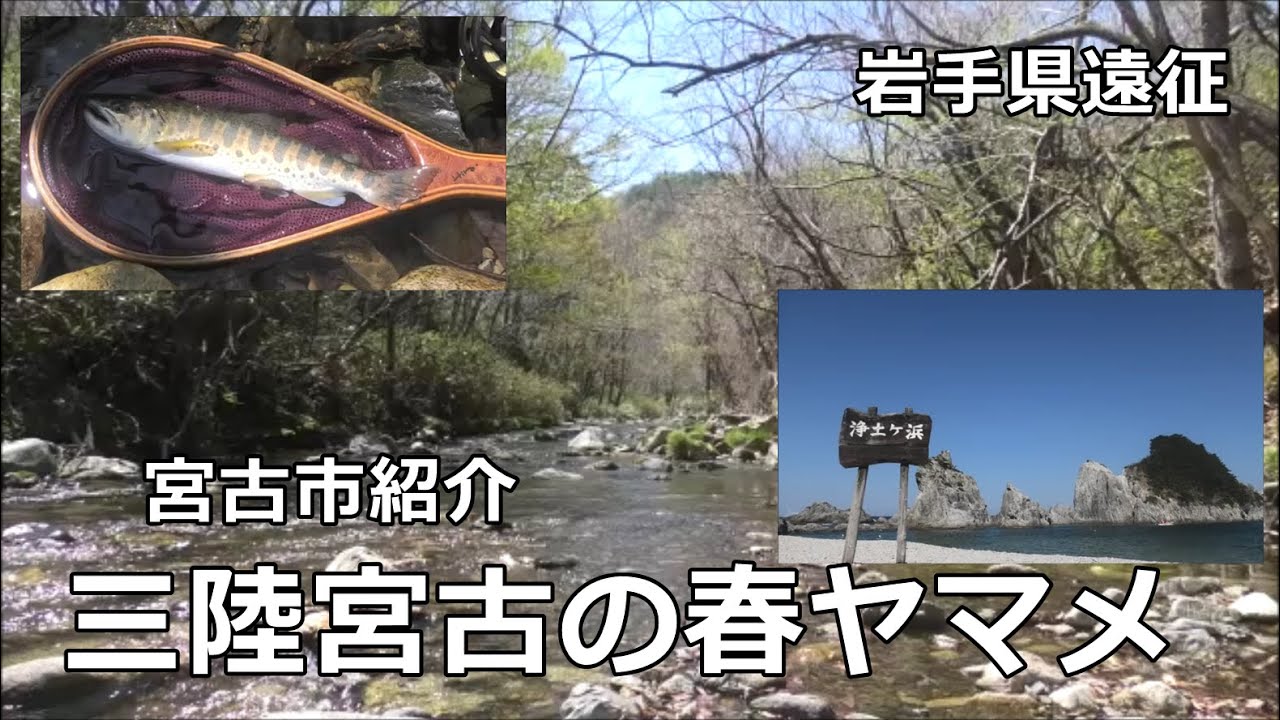 三陸宮古の春ヤマメ   ～岩手の渓流～  / みちのく釣りの旅  ﾌﾗｲﾌｨｯｼﾝｸﾞ渓流釣り(4K) fly fishing