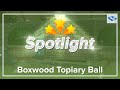 Customer Spotlight: Backyard Topiary Decor (Artificial Boxwood Topiary Hedge Ball)