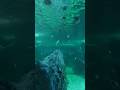 Underwater