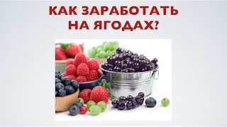 Как заработать на ягодах? Сезонный бизнес на ягодах (клубника, земляника)(Как заработать на ягодах? Как создать ягодный бизнес (на продаже клубники и земляники). Как заработать летом..., 2014-06-29T11:45:08.000Z)