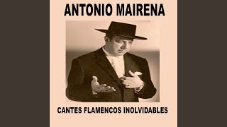 Video thumbnail of "Antonio Mairena - La madrugá"