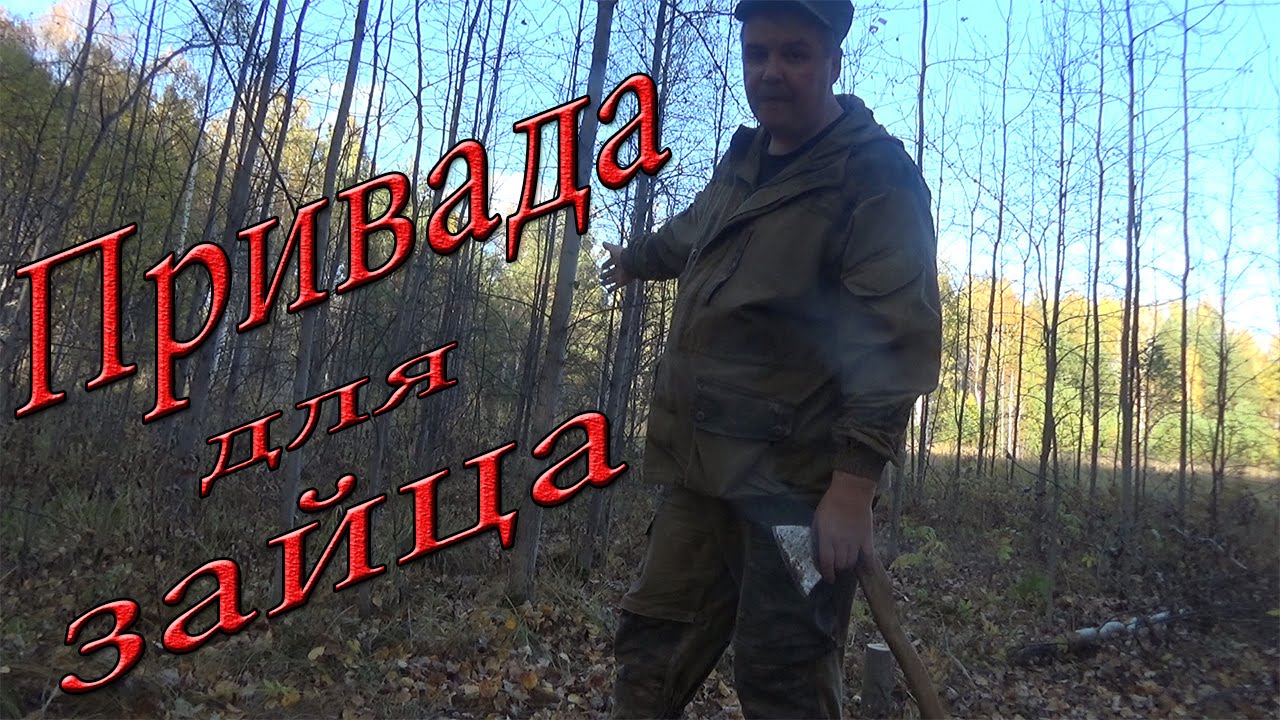 Привада для зайца