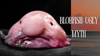 The Blobfish: Ugly Myth or Deep Sea Marvel? 😲 The Shocking Truth Revealed!