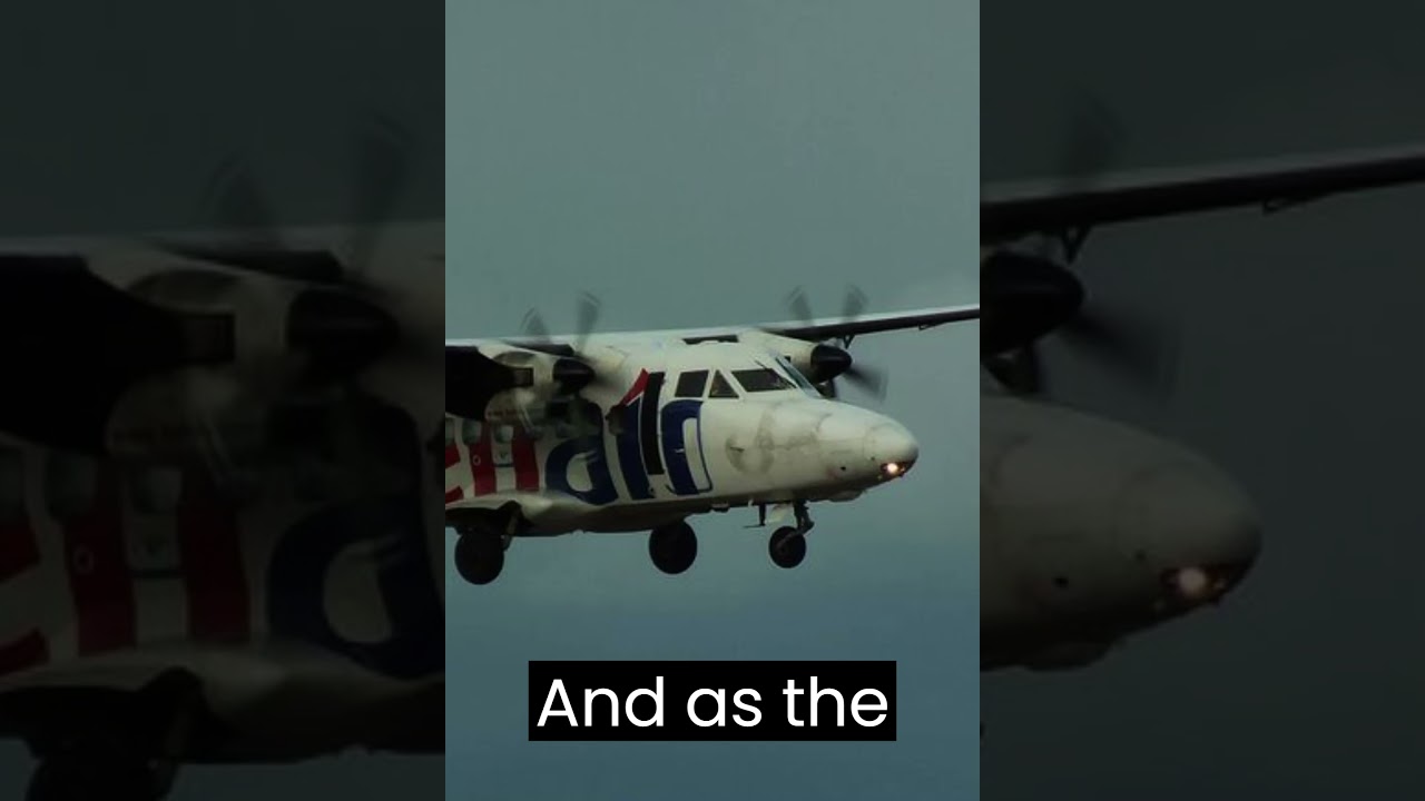 A Crocodile Crashed a Plane 