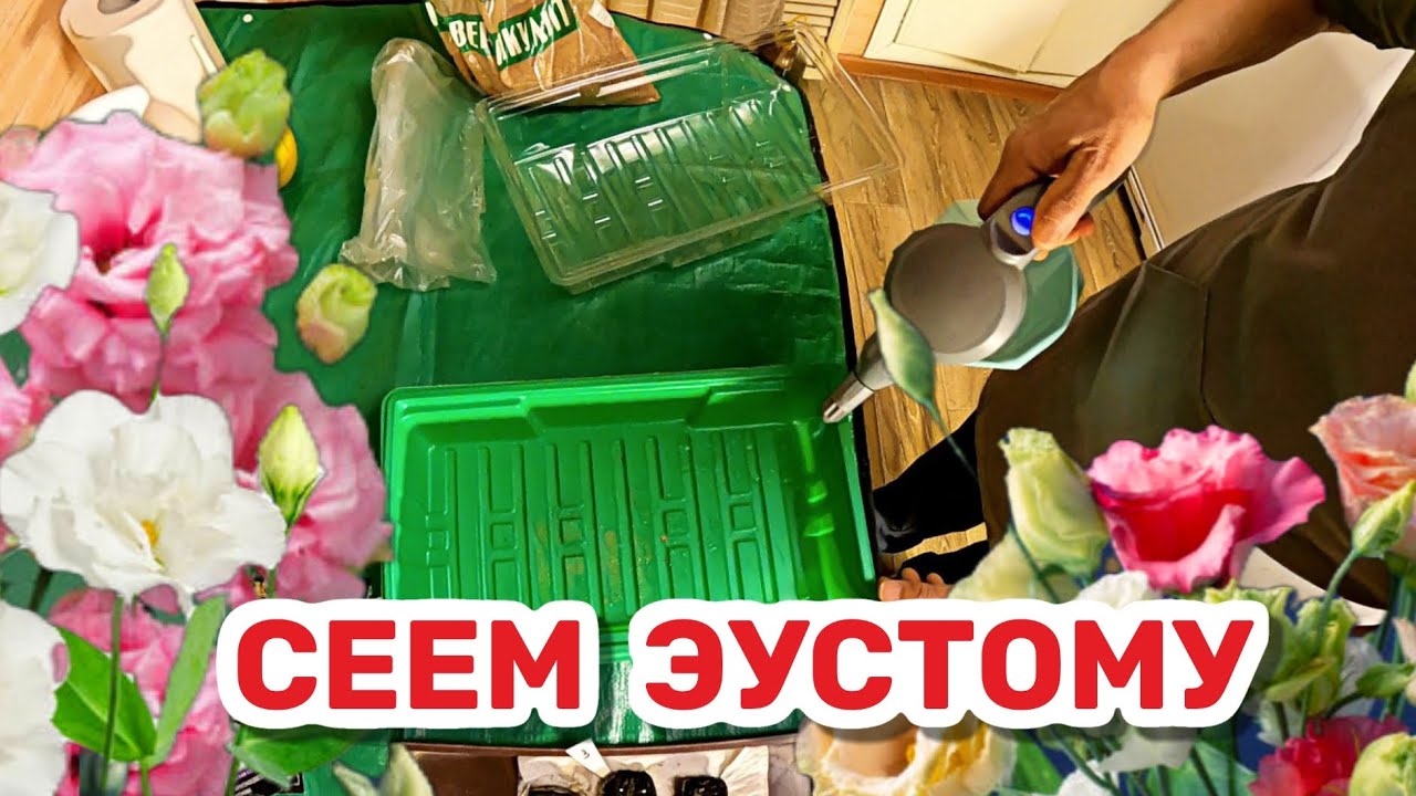 СЕЕМ ЭУСТОМУ Лучше поздно чем никогда